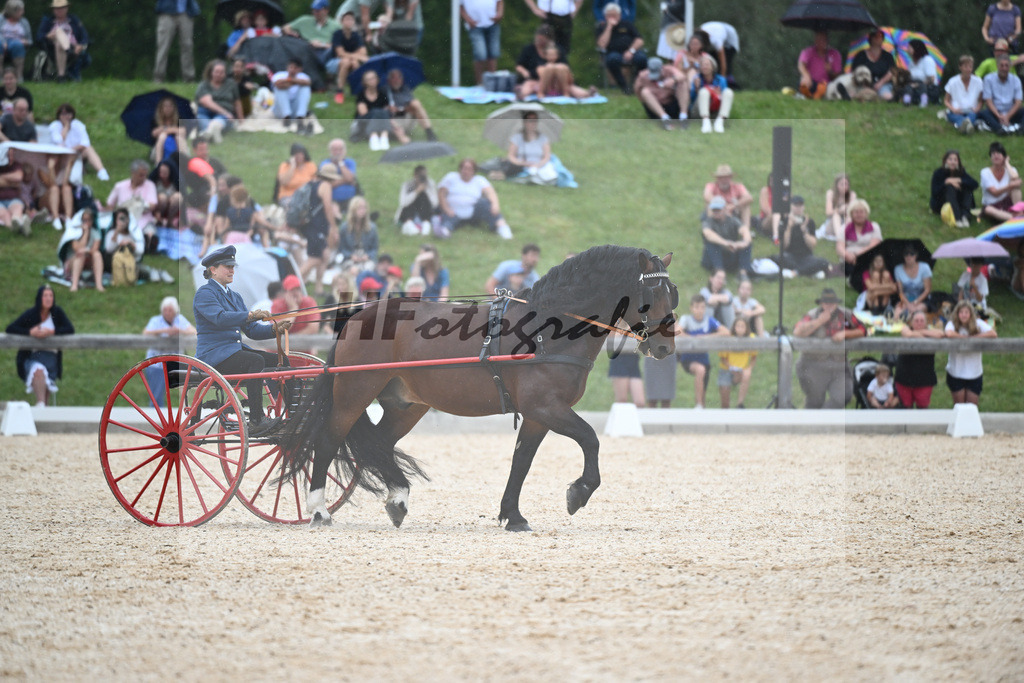 Sulkyquadrille_36240865 | hf-fotografie - Realisiert mit Pictrs.com