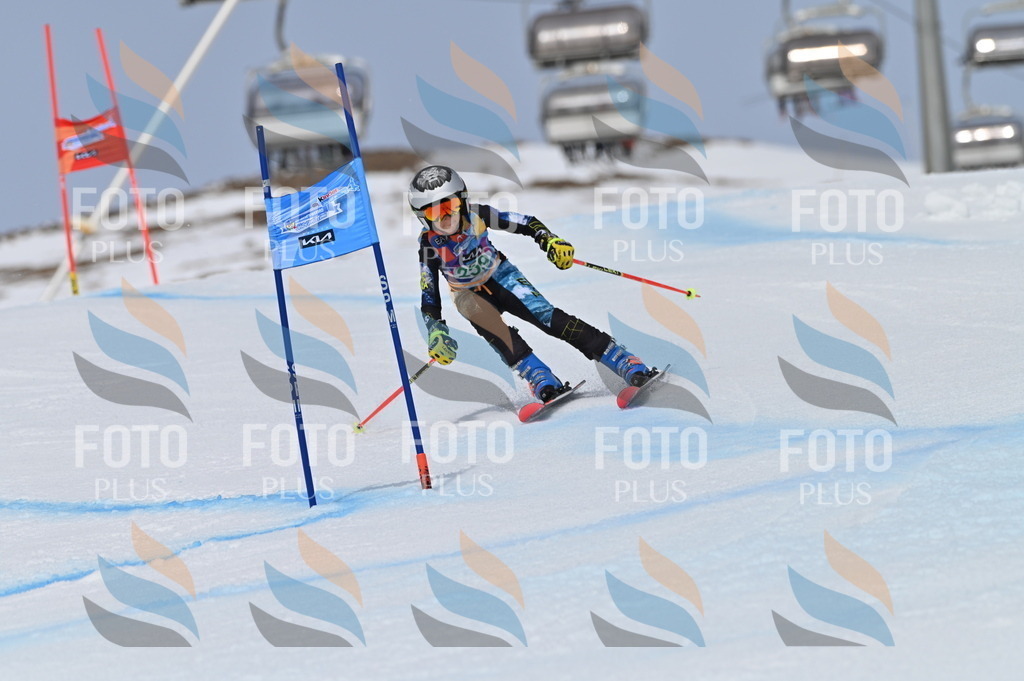 BGV_5135 | holidayphoto