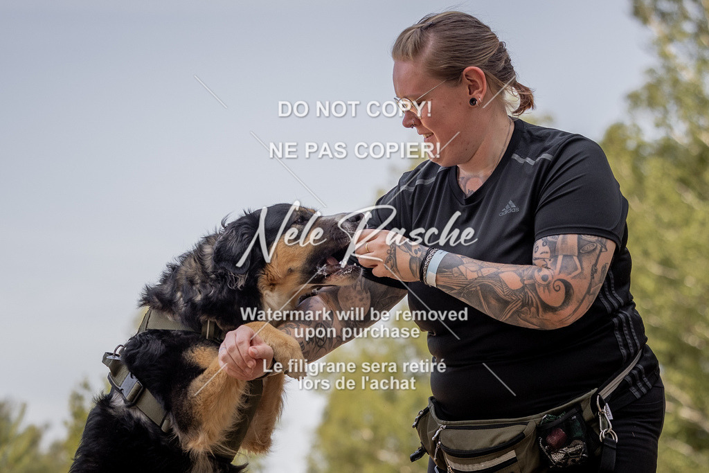 nelerasche_soDD2_263 | nelerasche