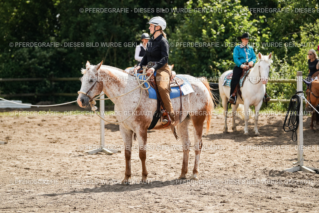 DSC06291 | Pferdegrafie