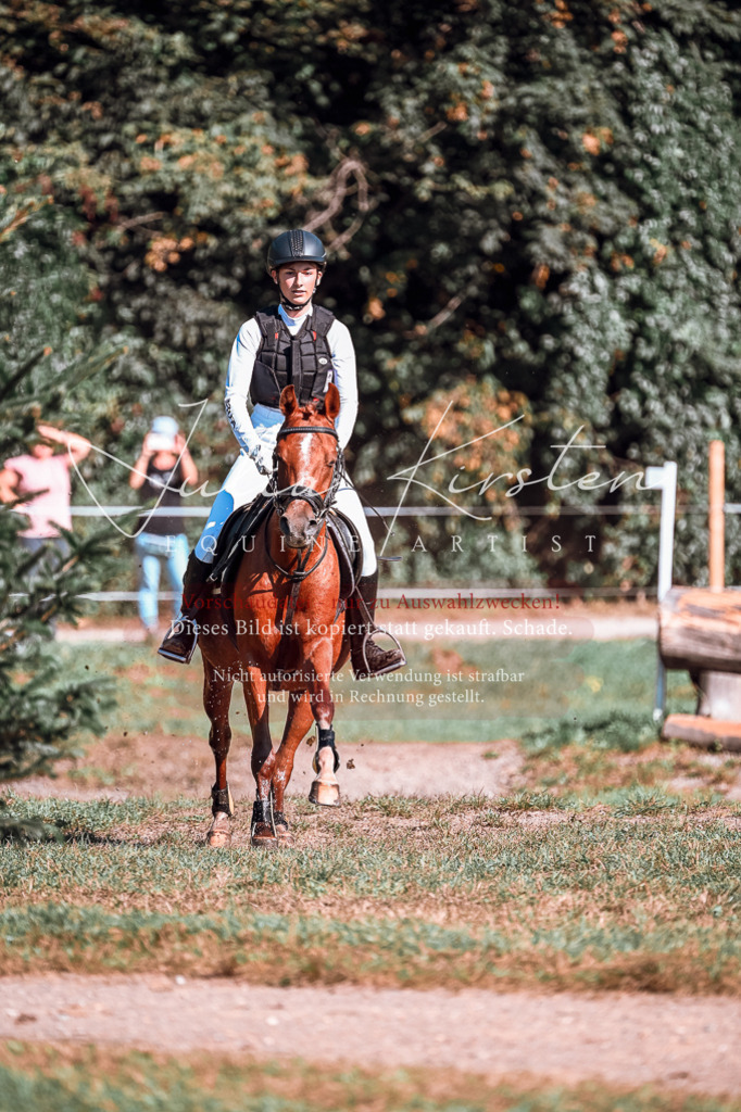 DSC_0887 | Pferde- und Turnierfotografie in Westsachsen. Pferdeportraits, Auftragszeichnungen und intuitive Kunst.