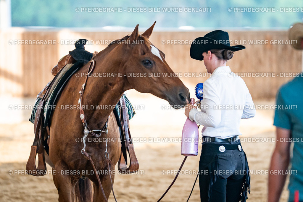 DSC09627 | Pferdegrafie