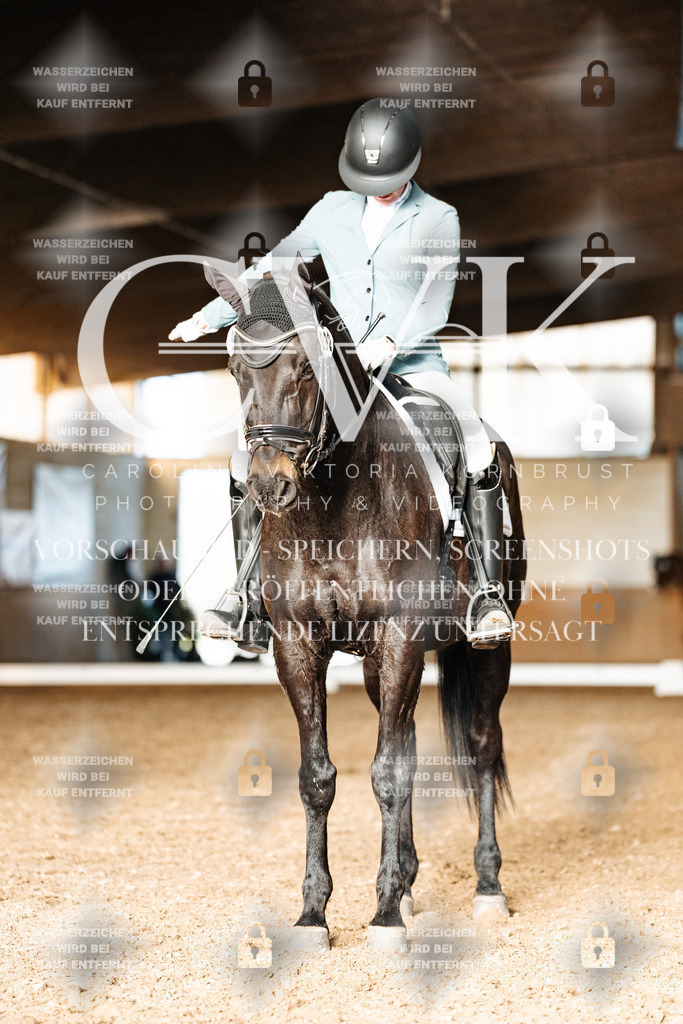 CK903238 | Turnierfotografie Pferdefotografie Trier Rheinland-Pfalz Pferdesport Reitsport Tierfotografie Sportfotografie Pferdevideo Pferdevideografie Equestrianvideography equestrianphotography  - Realisiert mit Pictrs.com