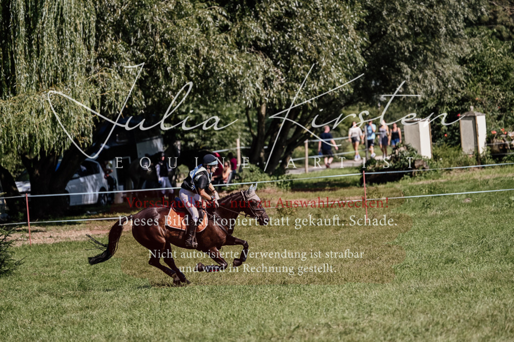 DSC_1804 | Pferde- und Turnierfotografie in Westsachsen. Pferdeportraits, Auftragszeichnungen und intuitive Kunst.