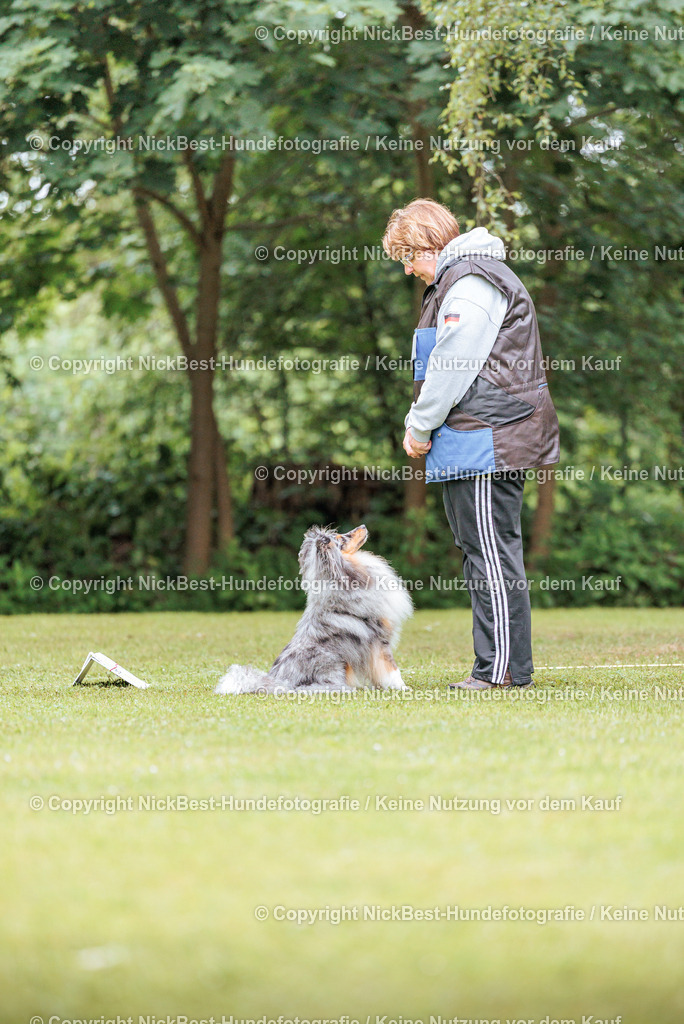 RO-Blumenthal-2026-Nickbest-Hundefotografie-4779 | Dein Hund! Dein Moment! Deine Erinnerungen! Hundefotografie in Bremen Blumenthal. Ich fange die besonderen Momente deines Vierbeiners ein – ob Indoor mit Blitzanlage oder in der freien Natur. Sicher dir dein Moment und dein Termin für eure Erinnerungen.