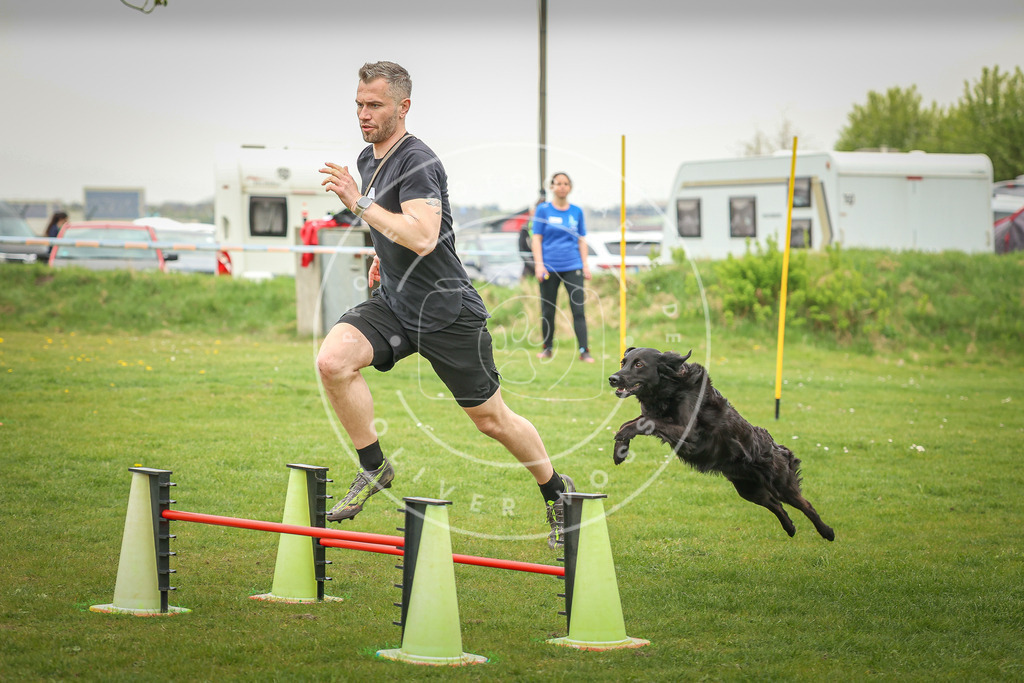 Pfotenfotografie_0L8A0123 | Hundefotografie, Tierfotograf, Pfotenfotografie, Fotoshooting Hund, Hunde Portrait, Hundesport, Hundeportraits, Heideshooting, Hunde, Sportfotograf, Hundefotograf, Turnierhundsport, THS,  - Realisiert mit Pictrs.com