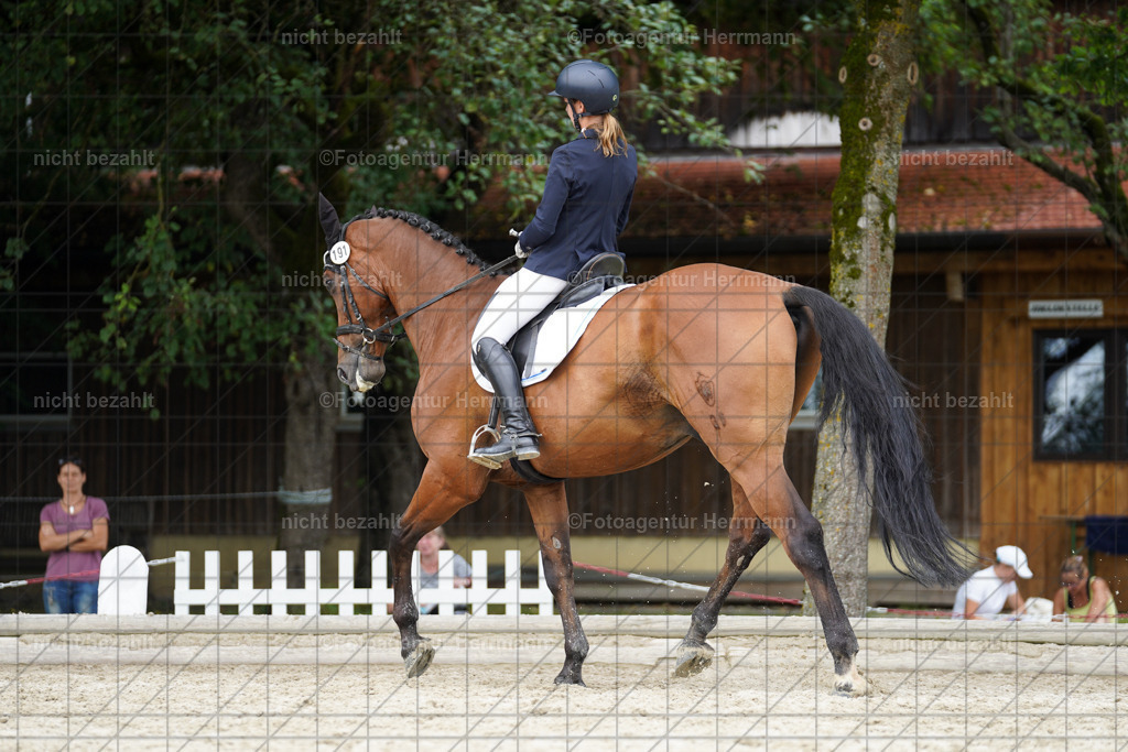 20230826-FAH05698 | Forstinning, 2023, Dressurturnier, Turniersportbilder, Turnierfotografen Bayern, Fotoagentur Herrmann, Reitsportfotografie, Turnierbilder