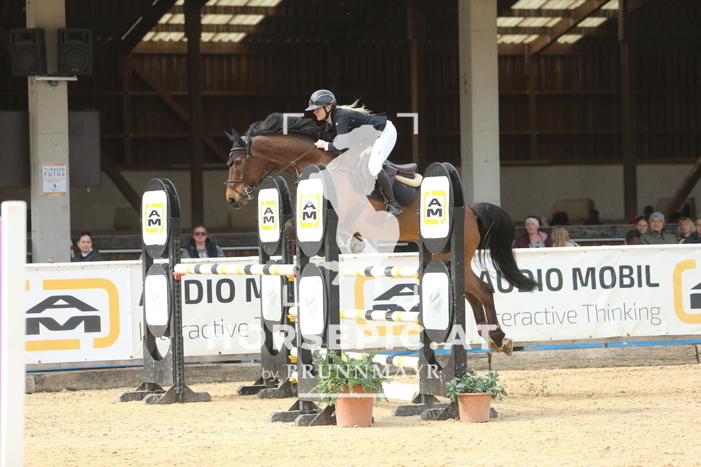 DL2Q2616 | Willkommen bei Brunnmayr - Design & Fotografie – Ihrem Spezialisten für Reitturniere und Pferdeveranstaltungen in Oberösterreich, Salzburg und Bayern! Seit über 17 Jahren sind wir leidenschaftlich dabei.