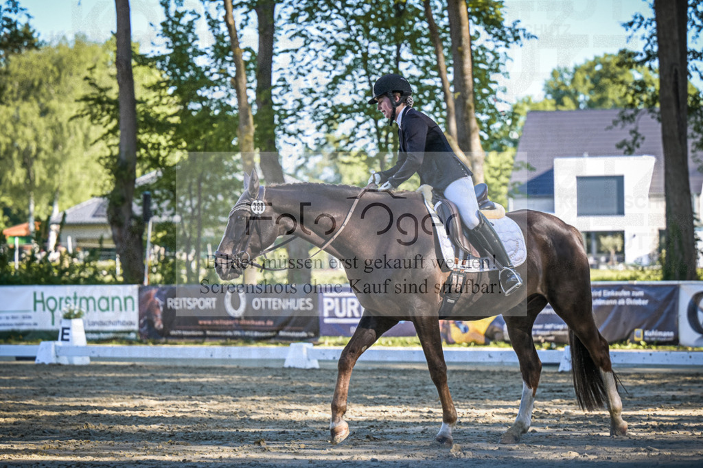 DOS_5018 | Entdecke hochwertige Reitturnierfotos von Foto Oger. Professionell, emotional und authentisch – jetzt Lieblingsmomente im Shop bestellen.Deutschlandweite Turnierfotografie. - Realisiert mit Pictrs.com