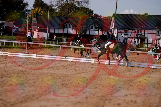 2026_10_03_Siefer-Hof_120013_Z81_01552296 | Professionelle Reitsport-, Turnier- und Eventfotografie von Robert Broda. Galerien mit ausgewählten und bearbeiteten Bildern direkt online ansehen und bestellen.
