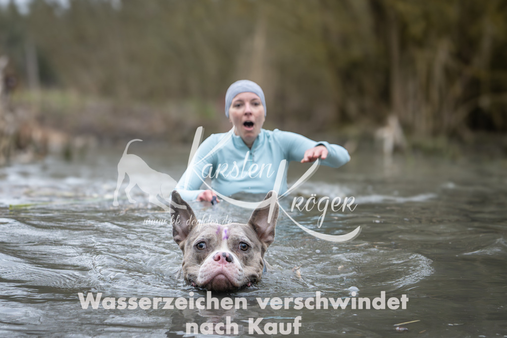 1001_ZZ95192 | kk-dogfotos