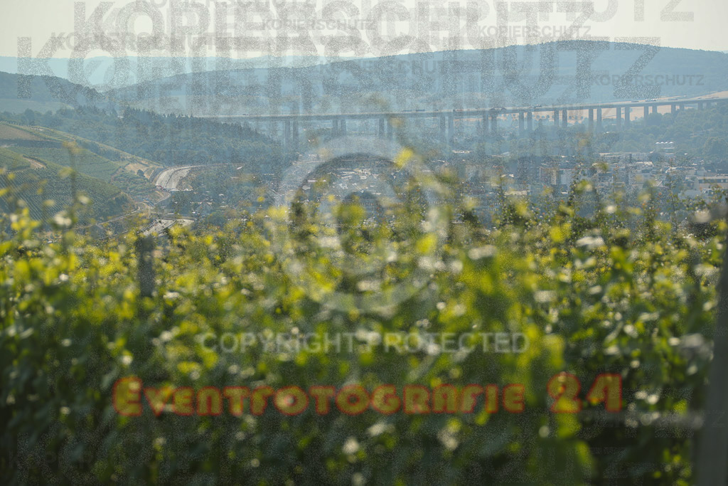 230617_0928_EX2_5608 | Eventfotografie 24
Sport- und Eventfotografie