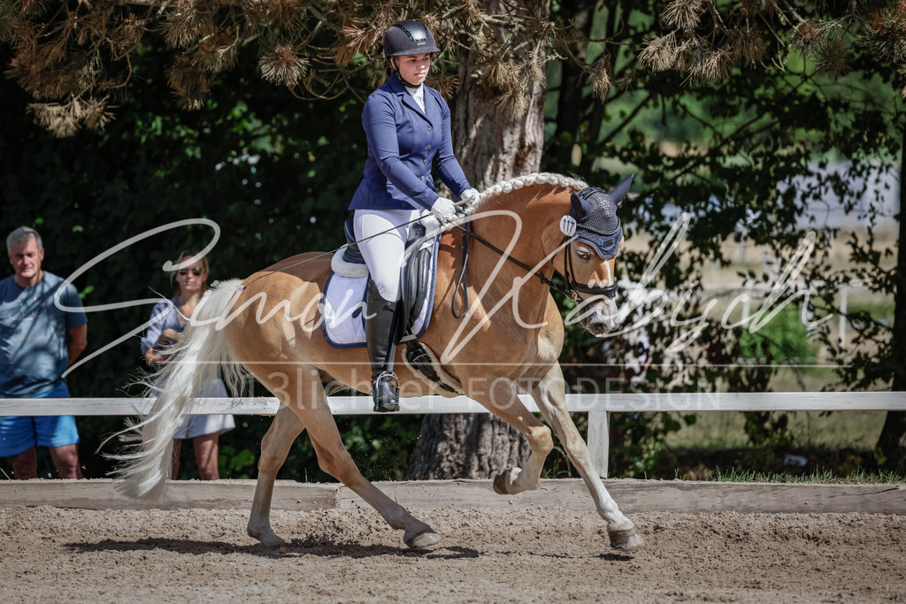 20250906-_3LI5382 | Tierfotografie Pferde, Hunde, Katzen, Haustiere.
Turnierfotografie Reitturniere, Reiten, Springreiten, Dressur in Hanau, dem Main-Kinzig-Kreis und dem Rhein-Main- Gebiet um Frankfurt