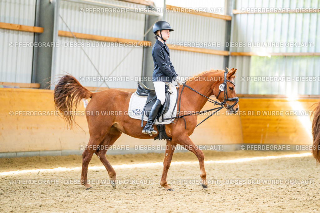 DSC03187 | Pferdegrafie