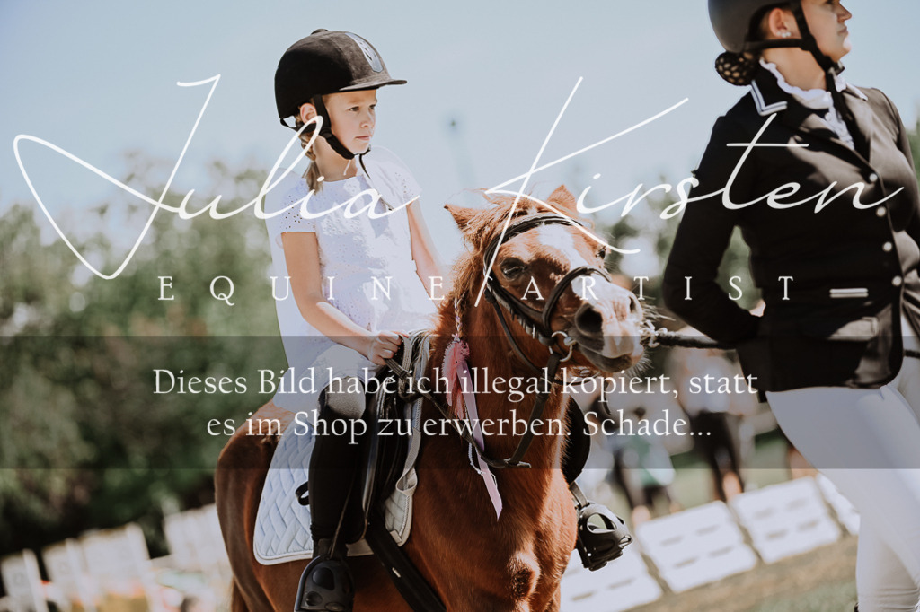 DSC_8883 | Pferde- und Turnierfotografie in Westsachsen. Pferdeportraits, Auftragszeichnungen und intuitive Kunst.