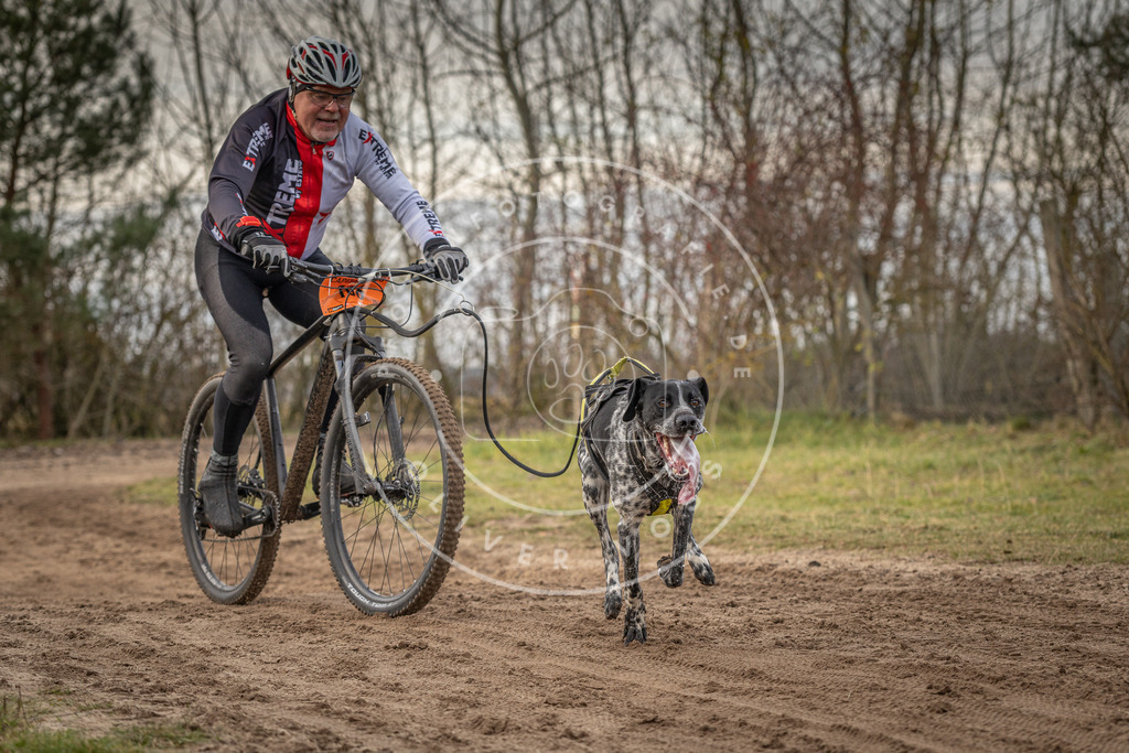 Pfotenfotografie_DV3A7818 | Hundefotografie, Tierfotograf, Pfotenfotografie, Fotoshooting Hund, Hunde Portrait, Hundesport, Hundeportraits, Heideshooting, Hunde, Sportfotograf, Hundefotograf, Turnierhundsport, THS,  - Realisiert mit Pictrs.com