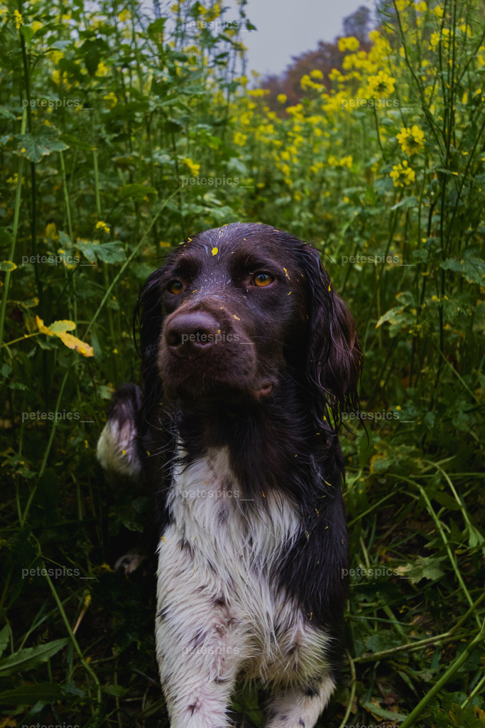 _76A8811 | petespics