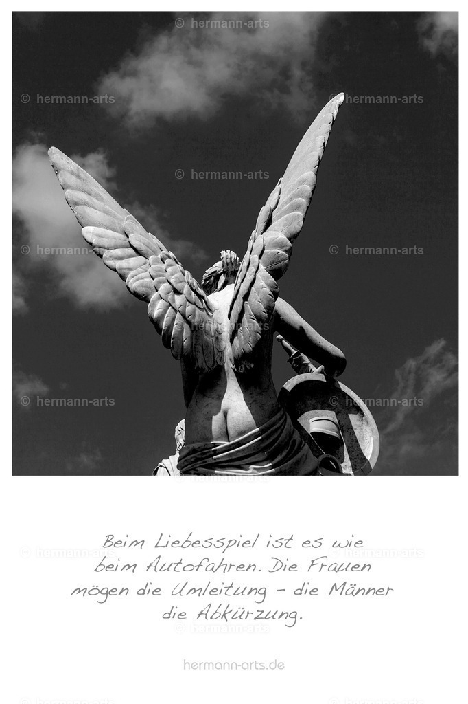 PK_Zitate_10x15_BW-041 | Photo Foto Kunst Art schwarzweiss Bilder Rheine Münster Berlin Blumen 