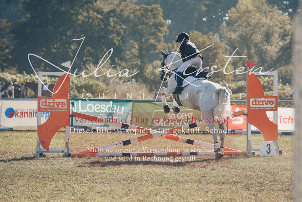 DSC_5716 | Pferde- und Turnierfotografie in Westsachsen. Pferdeportraits, Auftragszeichnungen und intuitive Kunst.