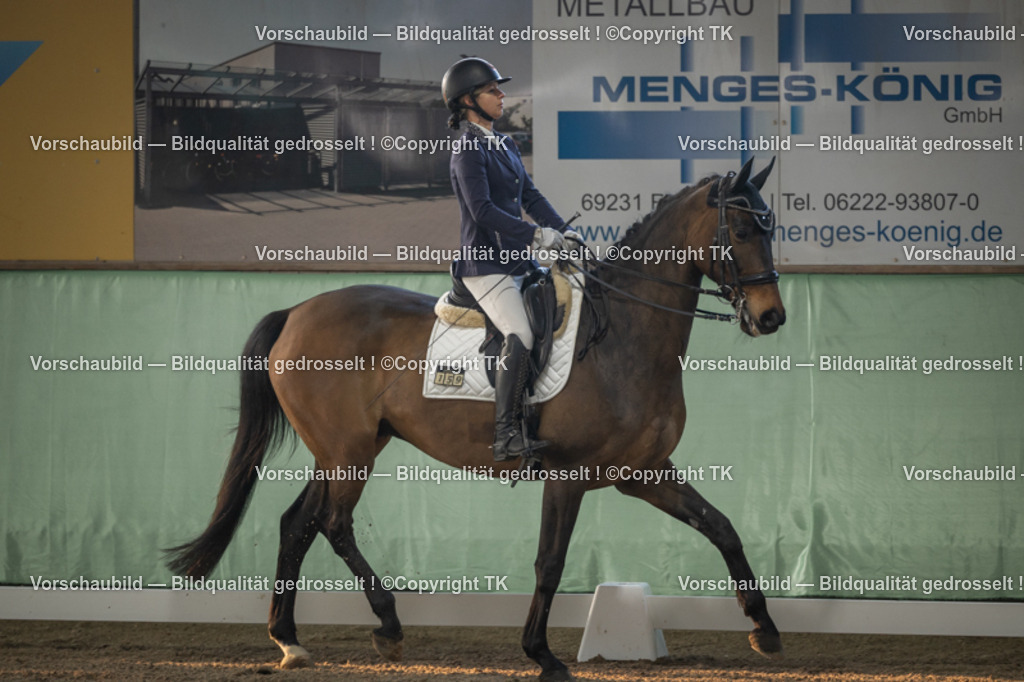 _D5A3898 | Emotionale Pferde- & People-Fotografie rund um Heidelberg, Leimen & Umgebung. Natürliche Fotos von Pferd, Mensch & Familie. Jetzt Termin sichern!