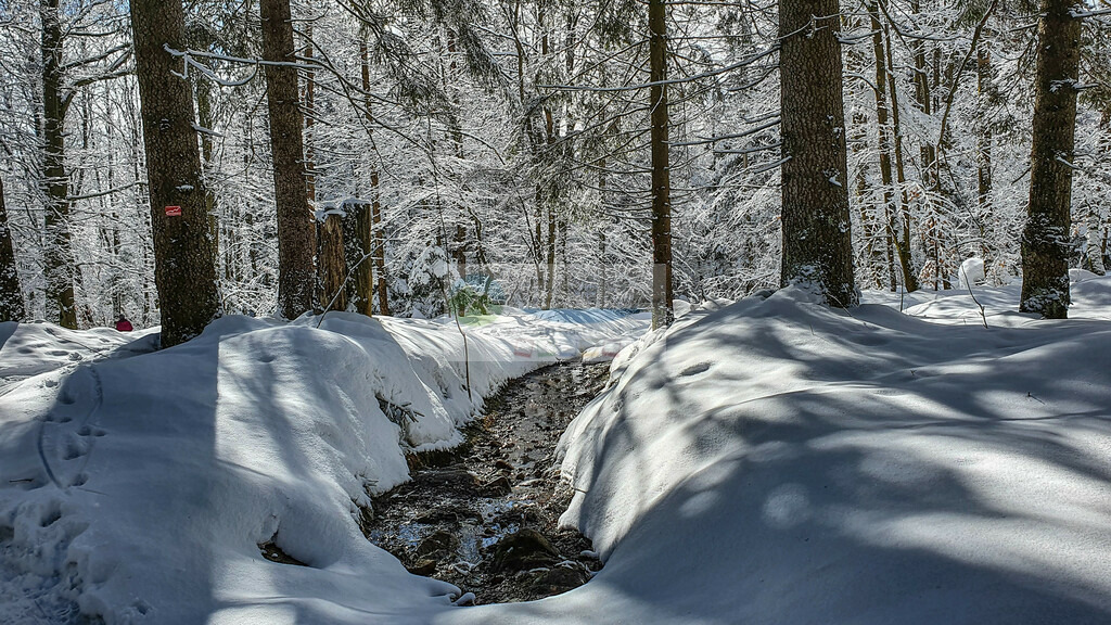 Platte Winter | Impressionen rund um Hochfranken - Frankenwald - Fichtelgebirge - Realisiert mit Pictrs.com