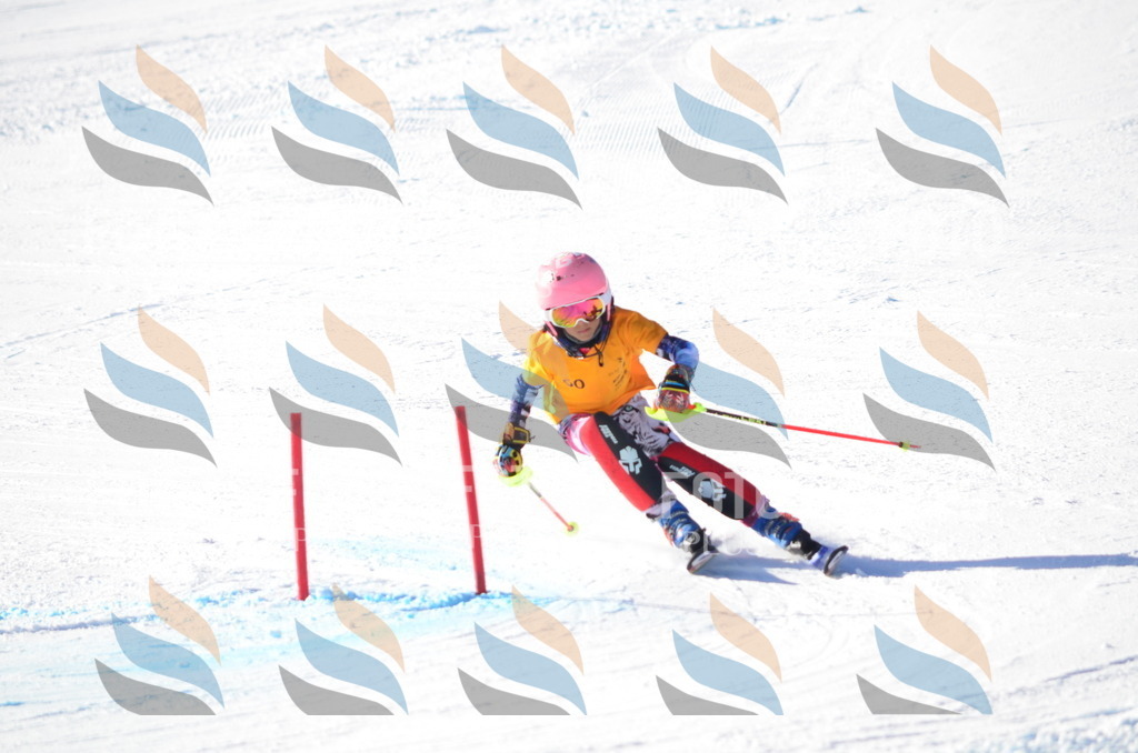 C5783 | holidayphoto