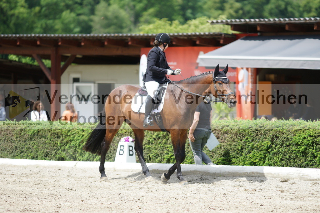 DSC04756 | equestrian-live-com