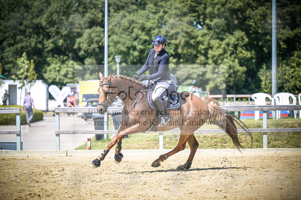 DOS_1360 | Entdecke hochwertige Reitturnierfotos von Foto Oger. Professionell, emotional und authentisch – jetzt Lieblingsmomente im Shop bestellen. - Realisiert mit Pictrs.com