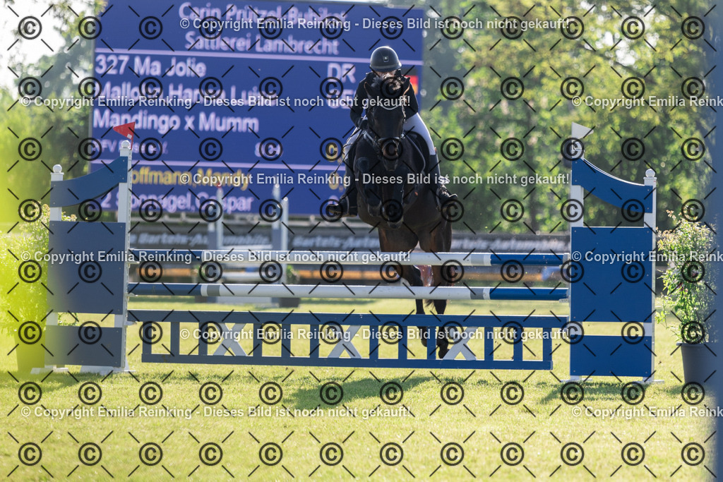 CL5A9155 | Emilia Reinking Fotografie - Realisiert mit Pictrs.com