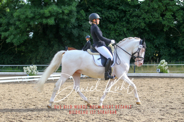 DKP45539 | Turniersportfotografie; Pferdefotografie; Dressurfotografie