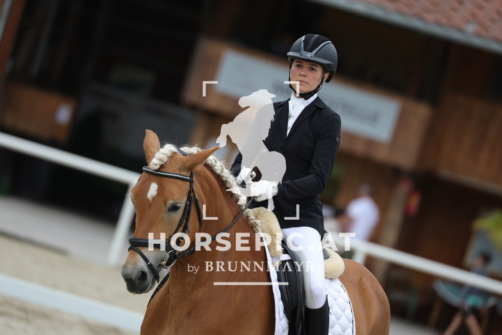 0P6A7087 | Willkommen bei Brunnmayr - Design & Fotografie – Ihrem Spezialisten für Reitturniere und Pferdeveranstaltungen in Oberösterreich, Salzburg und Bayern! Seit über 17 Jahren sind wir leidenschaftlich dabei.