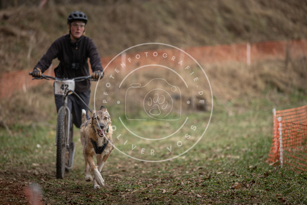 Pfotenfotografie_DV3A0548 | Hundefotografie, Tierfotograf, Pfotenfotografie, Fotoshooting Hund, Hunde Portrait, Hundesport, Hundeportraits, Heideshooting, Hunde, Sportfotograf, Hundefotograf, Turnierhundsport, THS,  - Realisiert mit Pictrs.com