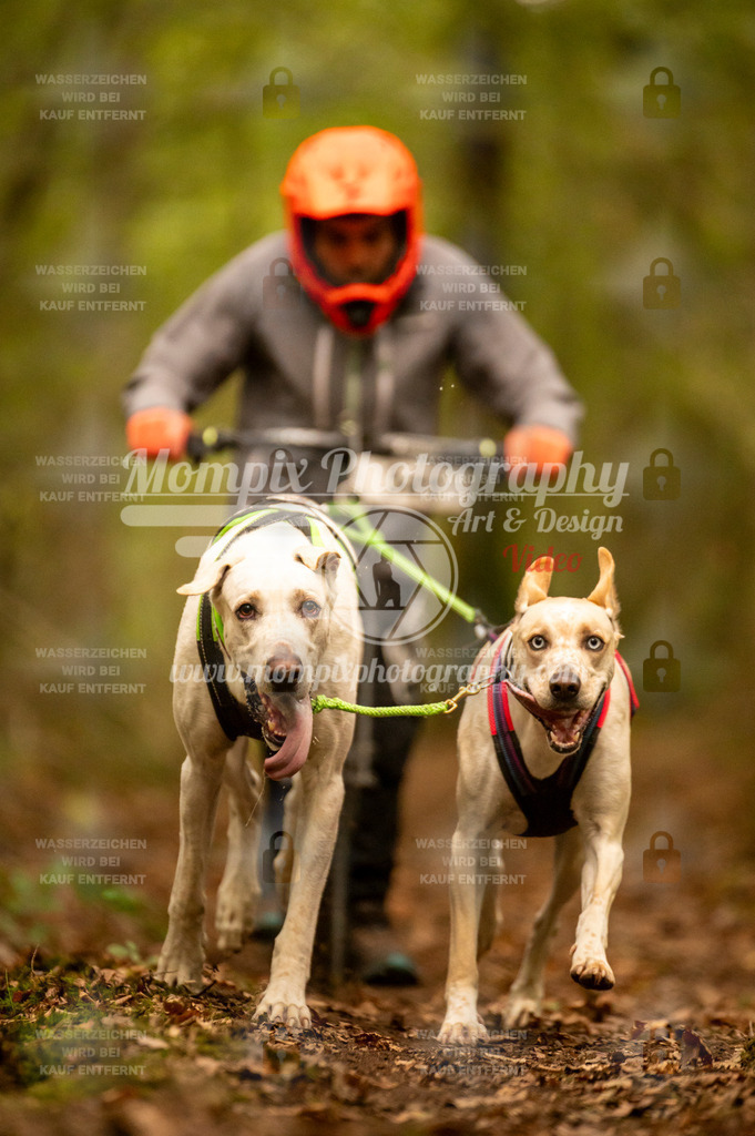 TSB_2023_E1_DS2-22 | mompixphotography