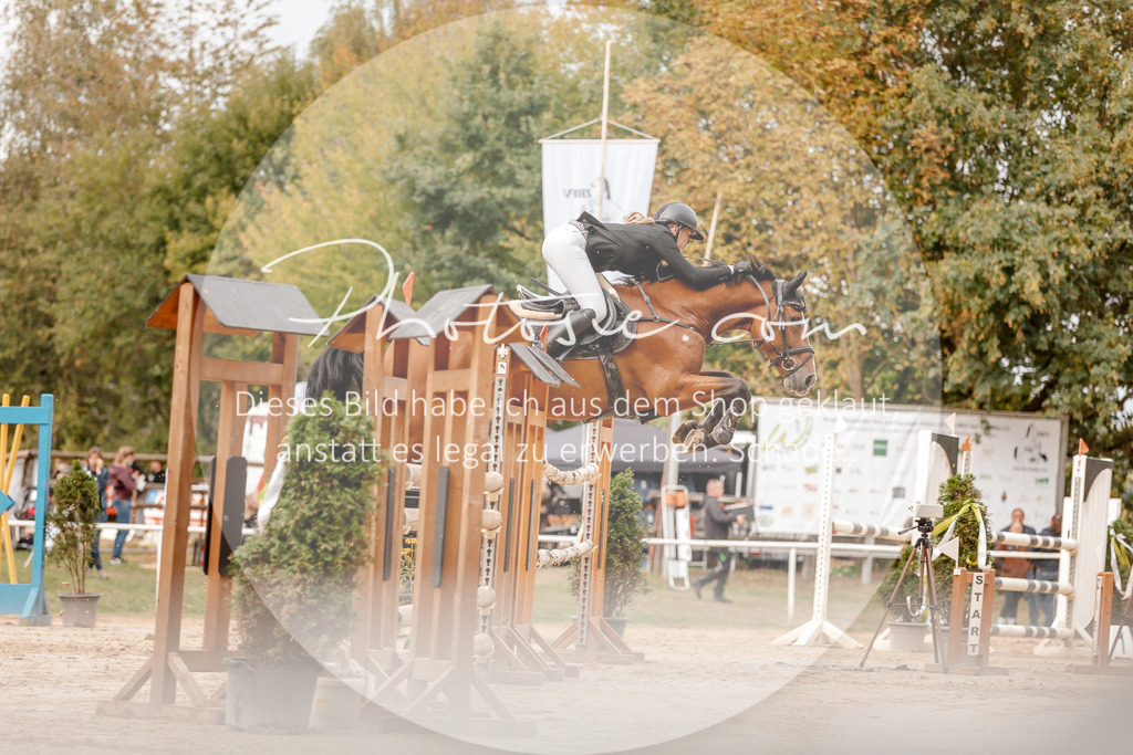 3I6A8253 | Stimmungsvolle Portraits und Reitsportfotografie im Ruhrgebiet und im Münsterland.

Pferdefotografie, Hundefotografie, Tierfotografie, Reportagen, Portraits von Tier und Mensch, Turnierfotografie in Bochum, Recklinghausen, Marl, Haltern am See, Dülmen.. - Realisiert mit Pictrs.com