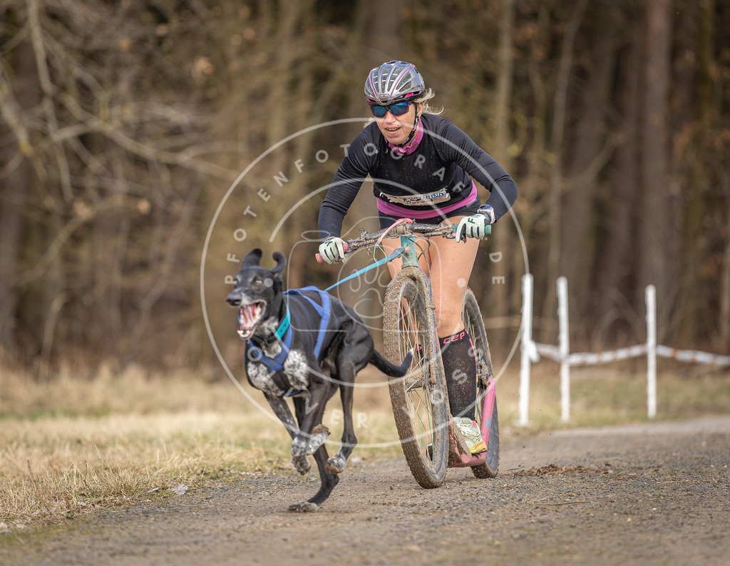 DV3A4664 | Hundefotografie, Tierfotograf, Pfotenfotografie, Fotoshooting Hund, Hunde Portrait, Hundesport, Hundeportraits, Heideshooting, Hunde, Sportfotograf, Hundefotograf, Turnierhundsport, THS,  - Realisiert mit Pictrs.com