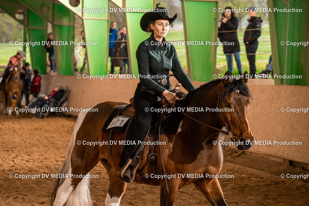 BAL00255 | dv-media-shop - Realisiert mit Pictrs.com