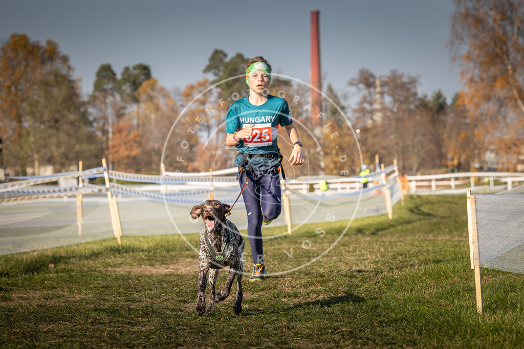 CaniXpix_0L8A8819 | Hundefotografie, Tierfotograf, Pfotenfotografie, Fotoshooting Hund, Hunde Portrait, Hundesport, Hundeportraits, Heideshooting, Hunde, Sportfotograf, Hundefotograf, Turnierhundsport, THS,  - Realisiert mit Pictrs.com