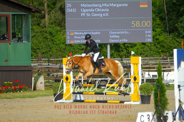 DKP41076 | Turniersportfotografie; Pferdefotografie; Dressurfotografie