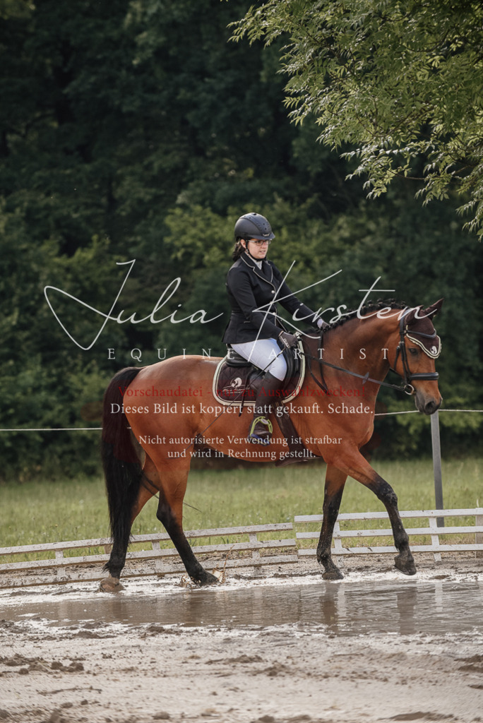 DSC_8430 | Pferde- und Turnierfotografie in Westsachsen. Pferdeportraits, Auftragszeichnungen und intuitive Kunst.