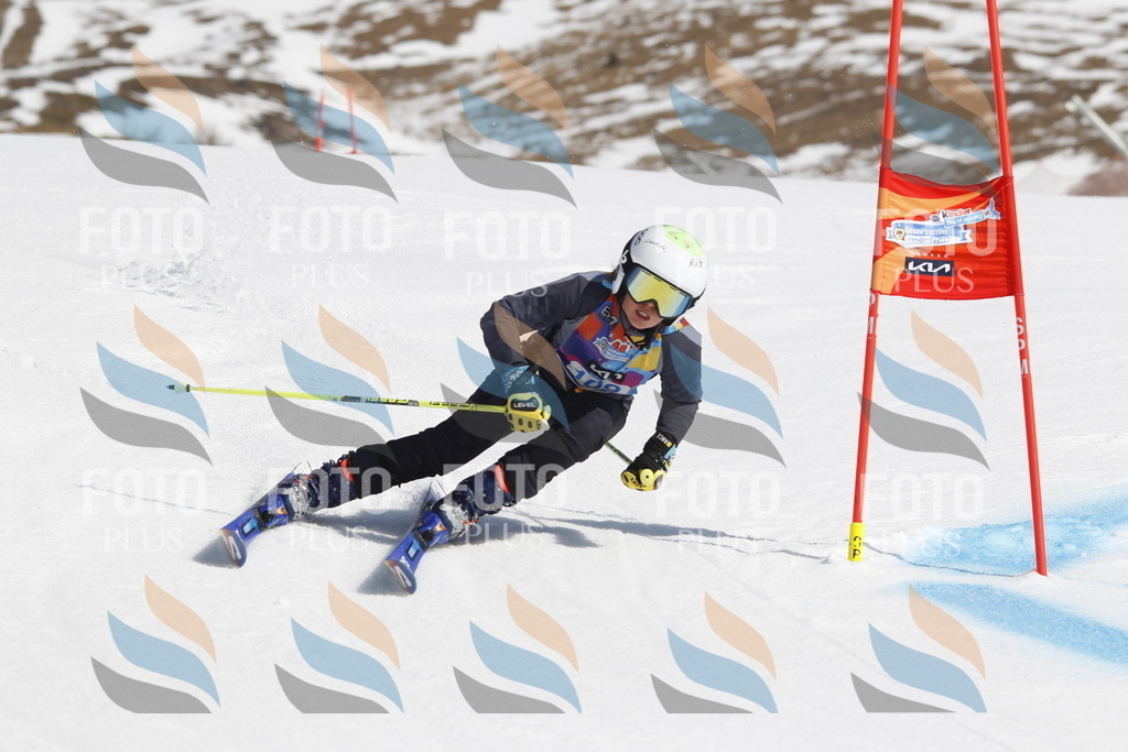 _U3G0480 | holidayphoto