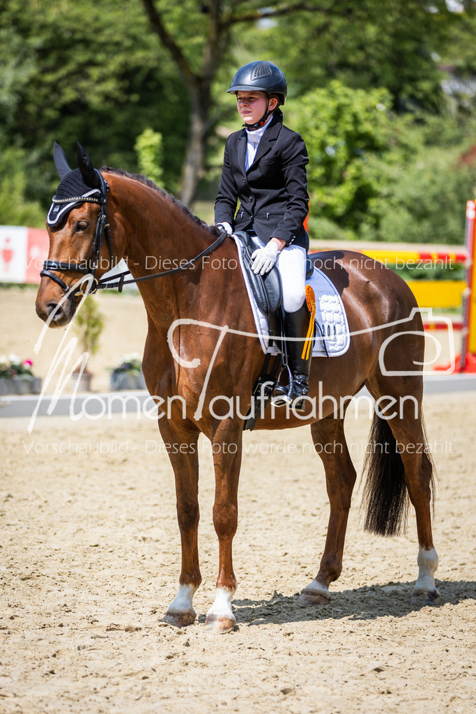 Donop24-EDre-064 | MomenTaufnahmen Pferdesportfotos