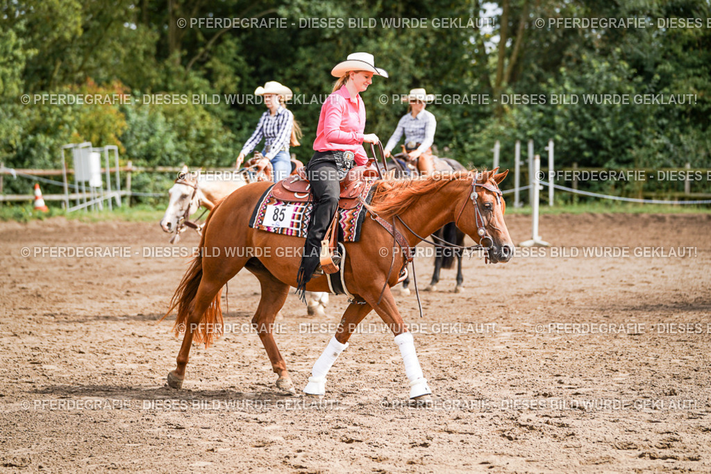 DSC08458 | Pferdegrafie