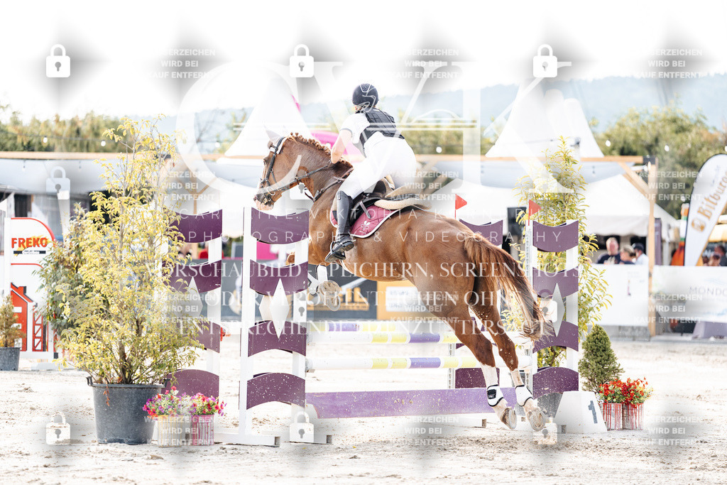 CK906672 | Turnierfotografie Pferdefotografie Trier Rheinland-Pfalz Pferdesport Reitsport Tierfotografie Sportfotografie Pferdevideo Pferdevideografie Equestrianvideography equestrianphotography  - Realisiert mit Pictrs.com