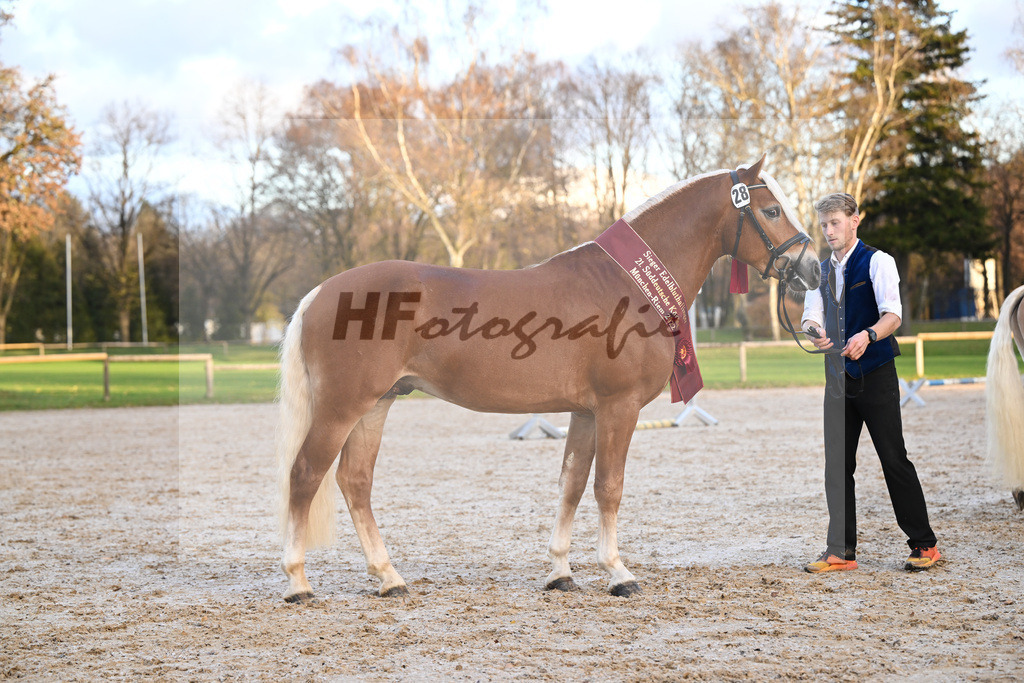 Kat-Nr. 28 Napoleon v. Nakuri_Lechner_60221848 | hf-fotografie - Realisiert mit Pictrs.com