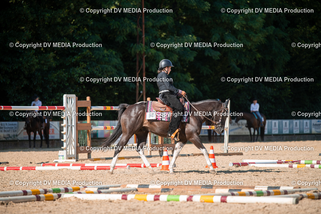 EWP_6994 | dv-media-shop - Realisiert mit Pictrs.com