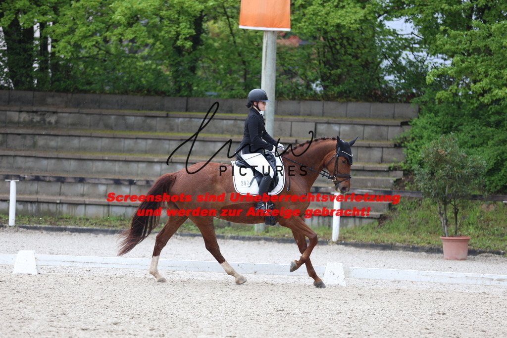 A40A8696 | lmwpictures - Realisiert mit Pictrs.com