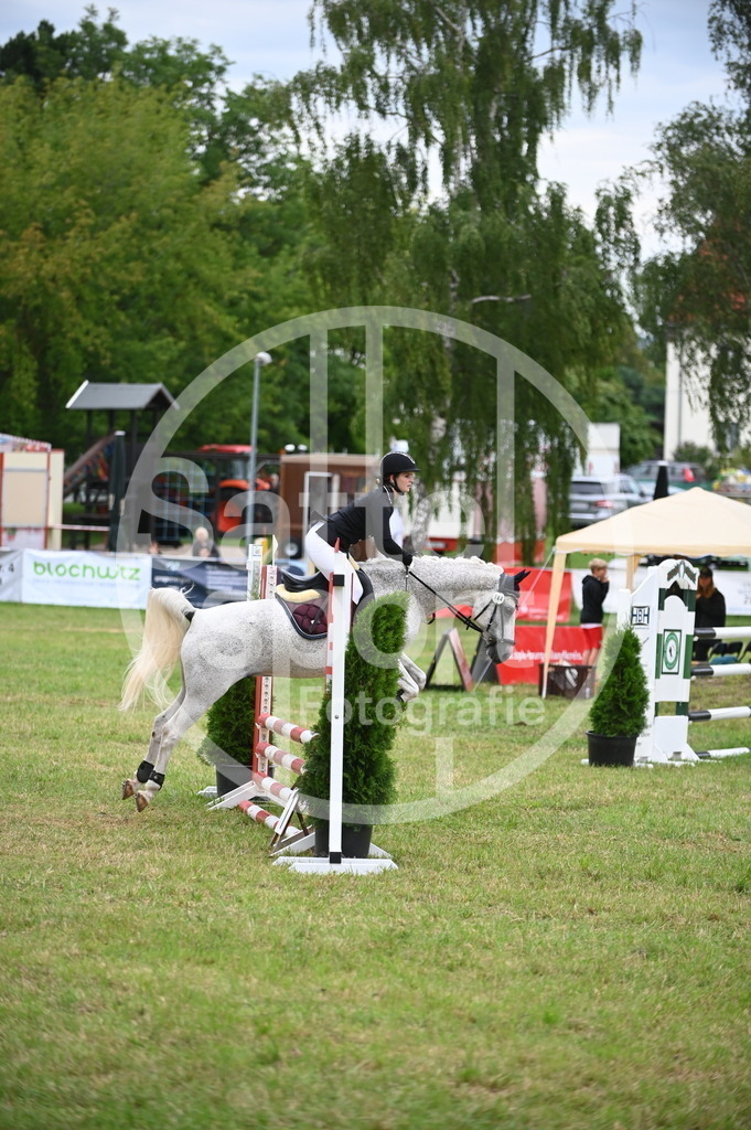 DSC_4248 | sattelsport - Realisiert mit Pictrs.com