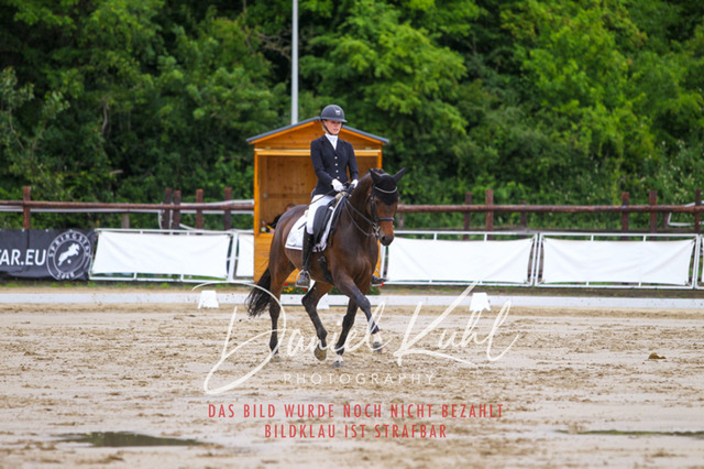 DKP46807 | Turniersportfotografie; Pferdefotografie; Dressurfotografie