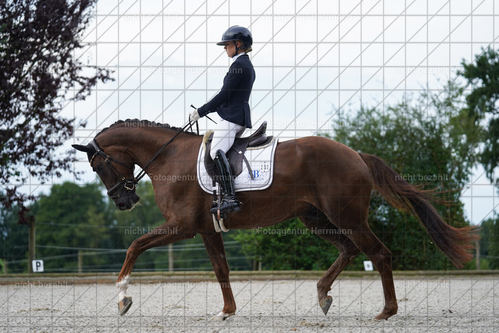 20230826-FAH04336 | Forstinning, 2023, Dressurturnier, Turniersportbilder, Turnierfotografen Bayern, Fotoagentur Herrmann, Reitsportfotografie, Turnierbilder