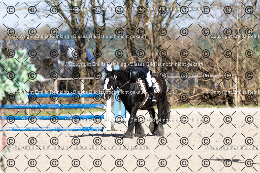 CL5A3181 | Emilia Reinking Fotografie - Realisiert mit Pictrs.com